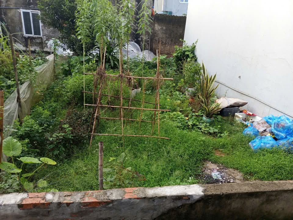 Đất nền phân lô Thôn Cam, Gia Lâm 32m² giá 3.8 tỷ - Ô tô đỗ cổng, phong thủy tốt!