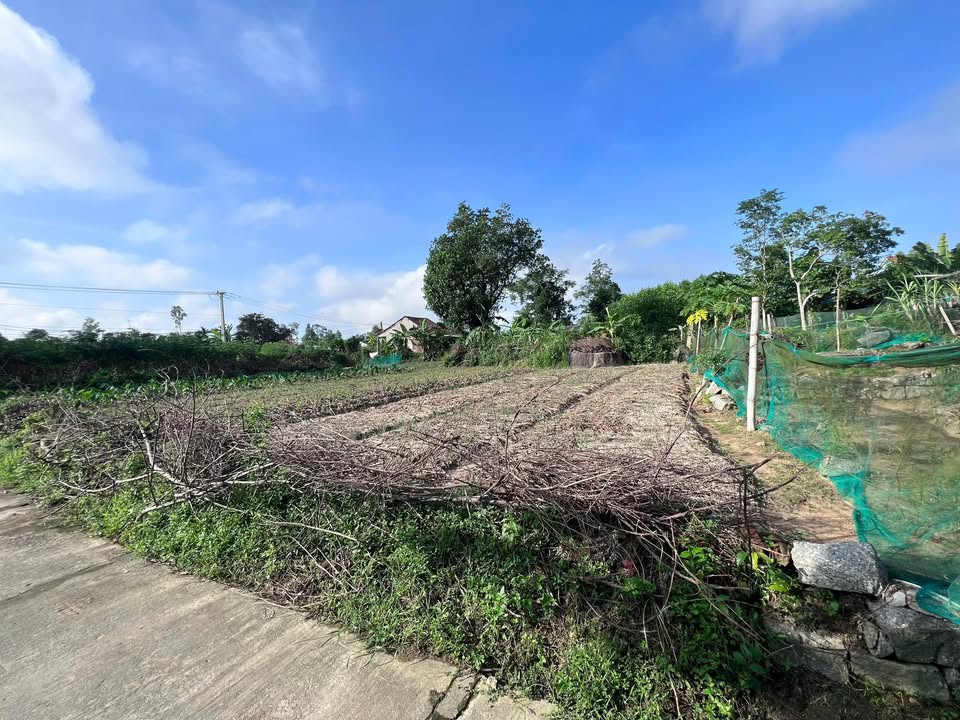 Đất nền xã Quế Sơn, Quế Sơn, 115m² - Gần chợ mới, ô tô vào tận nơi!