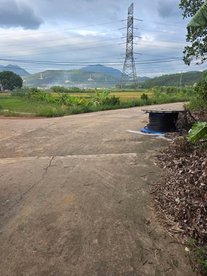 Đất liền nhau tại Minh Quang, Tam Đảo 420m² giá 1.7 tỷ - Đầu tư sinh lời ngay!