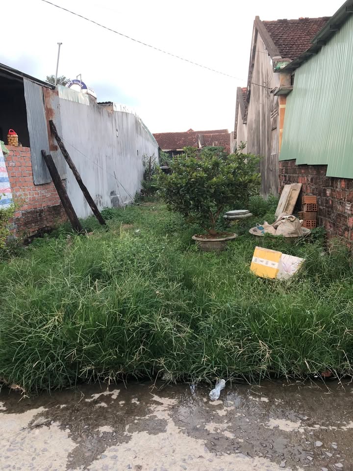 Đất thổ cư khu phố Hòa Lạc, thị trấn Phú Phong, 135m² giá 700 triệu - Cơ hội vàng đầu tư!