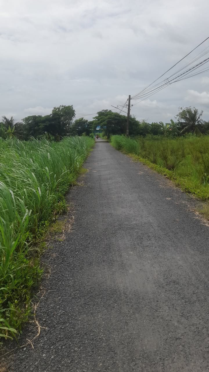 Đất thổ cư 195m² MT Nhựa Thông, Bình Xuân - Giá chỉ 195 triệu!