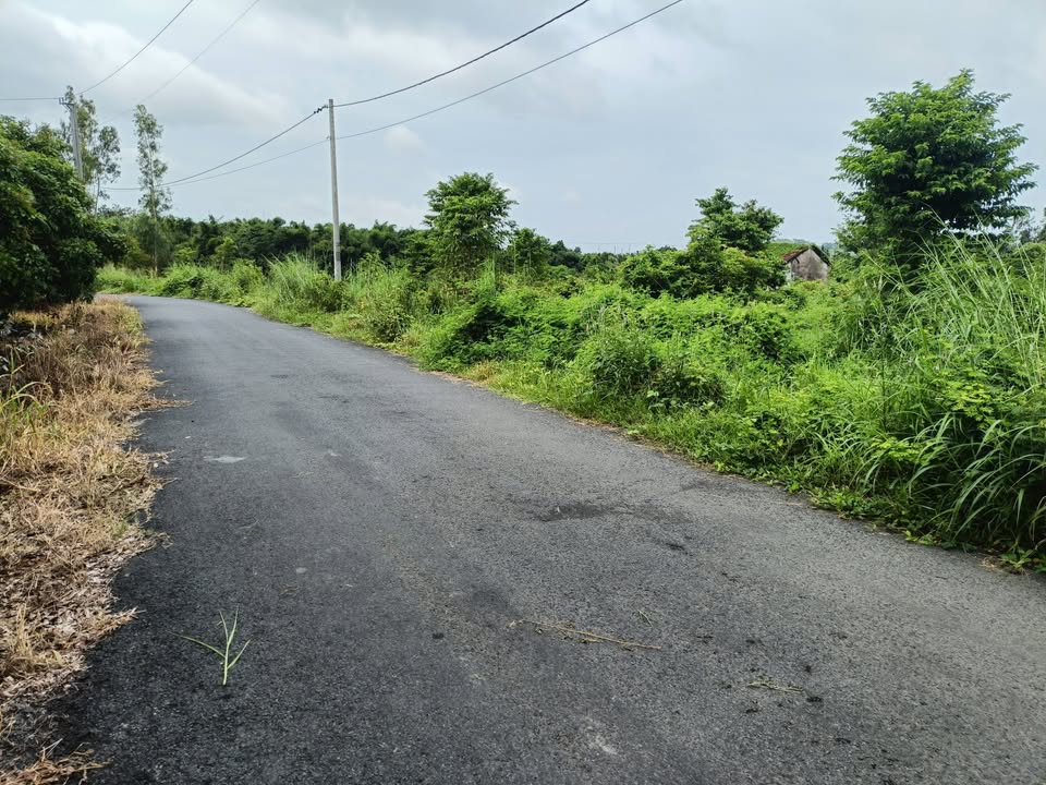 Đất nền Hòa Hội Xuyên Mộc 1386m² giá 7.5 tỷ - Cơ hội đầu tư hấp dẫn!