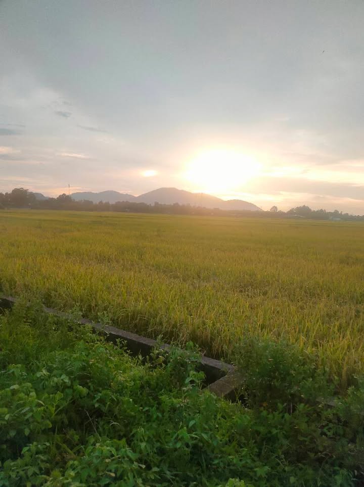 Đất mặt tiền đường Hùng Vương, phường Phước Hưng, Bà Rịa - 1000m² - Đầu tư sinh lời ngay!