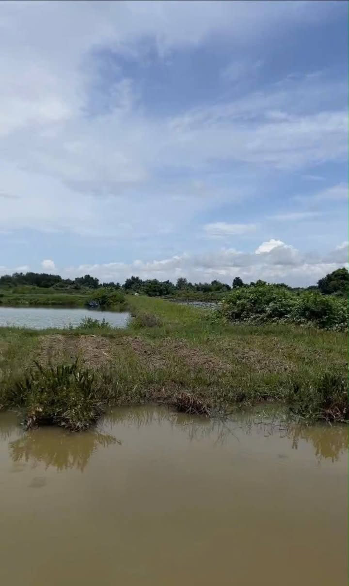 Đất ao tôm 46 công tại Ấp Trà Vôn B, Vĩnh Tân - Giá chỉ 1.84 tỷ, thương lượng tốt!