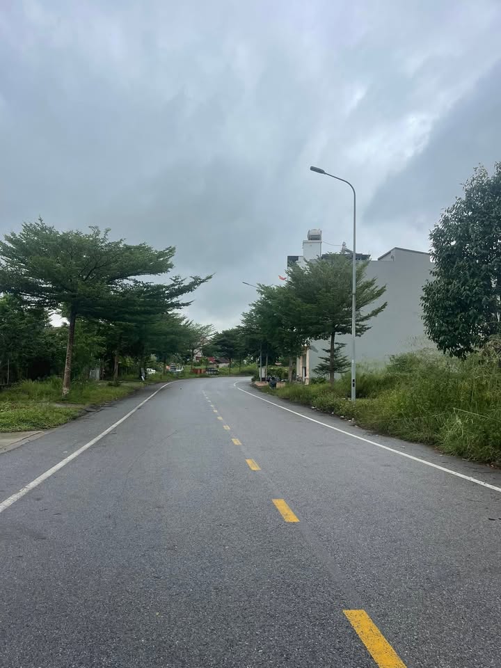 Đất nền chính chủ tại LK4 Tân Mỹ Sở Đồng Sơn 137m² giá 4 tỷ - Cơ hội đầu tư hiếm có!