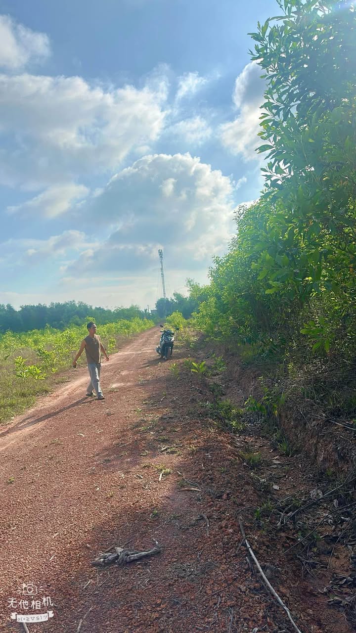 Đất nền Vĩnh An, Vĩnh Cửu 500m² chỉ 700 triệu - Cơ hội đầu tư hấp dẫn!