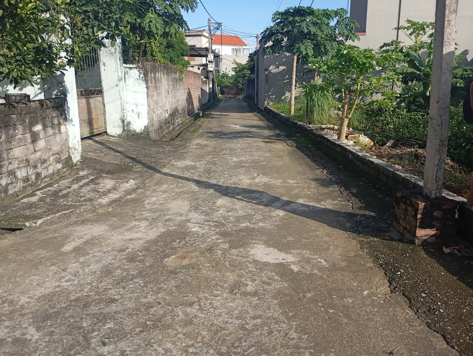 Lô đất 83m² xã Phù Lãng, Quế Võ, Bắc Ninh - Giá chỉ 1 tỷ, vị trí đắc địa!