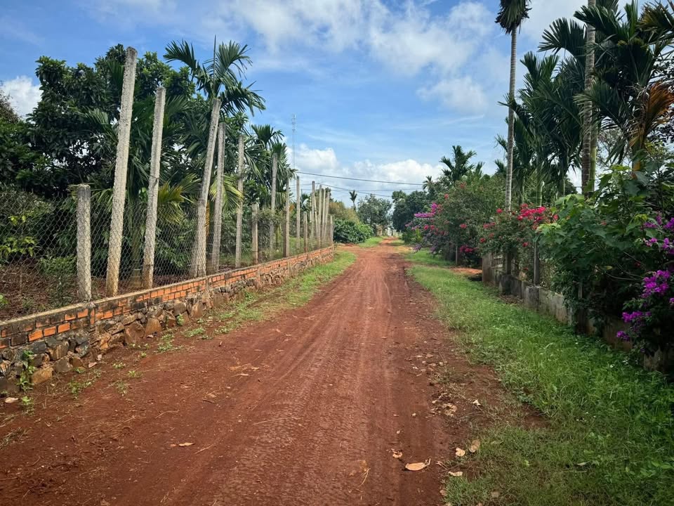 Đất nền xã Phú Xuân, Krông Năng 222m² giá 510 triệu - Đầu tư sinh lời hấp dẫn!