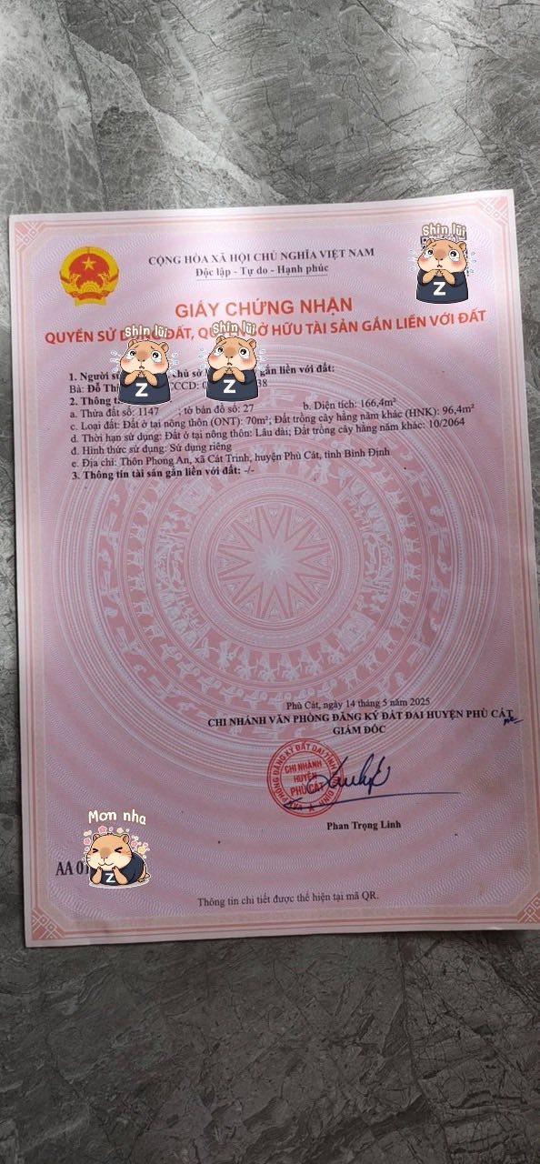 Lô đất Phong An, Cát Trinh, Phù Cát 167m² chỉ 600 triệu - Cơ hội đầu tư hấp dẫn!