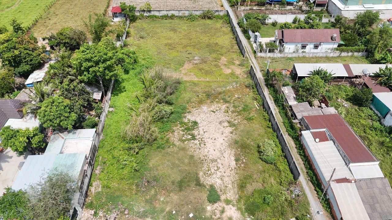 Đất thổ cư 300m² mặt tiền Đường Bàu Sen, Đức Hòa - Giá chỉ 23 tỷ!