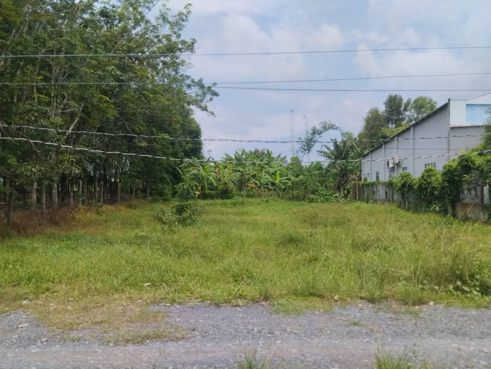 Đất thổ cư Trảng Bàng 591m² giá 1.3 tỷ - Sổ hồng chính chủ, thương lượng