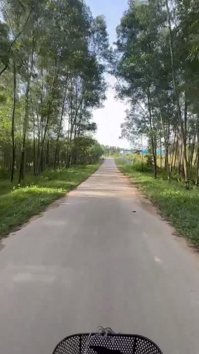 Đất rừng mặt tiền đường bê tông Kim Long 3ha giá thỏa thuận - Cơ hội đầu tư sinh lời!