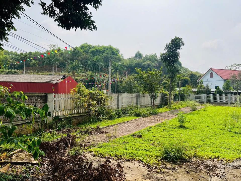 Đất nền chính chủ 1030m² tại xã Yên Bài, Ba Vì - Cơ hội đầu tư hấp dẫn!