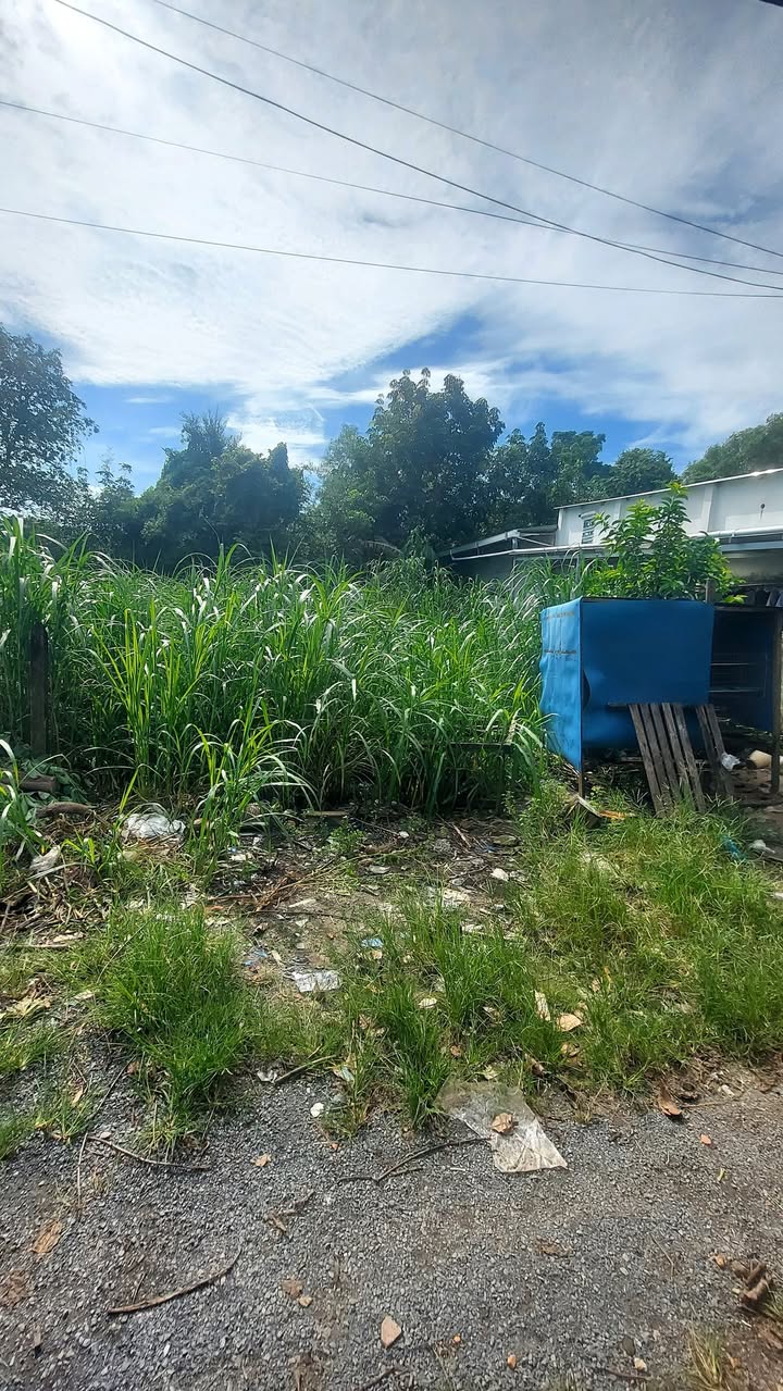 Đất nền ấp 7 xã Tân Thạnh Đông 134.4m² giá 1.6 tỷ - Sổ hồng riêng, thương lượng!