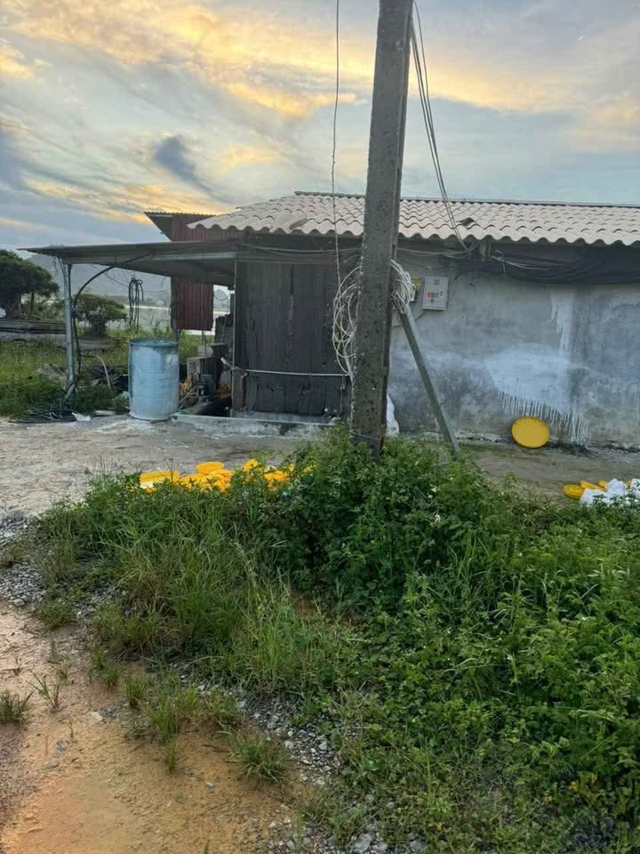 Farm Tân Tiến 3.920m² - Đất vườn và trại gà mới xây bán gấp!