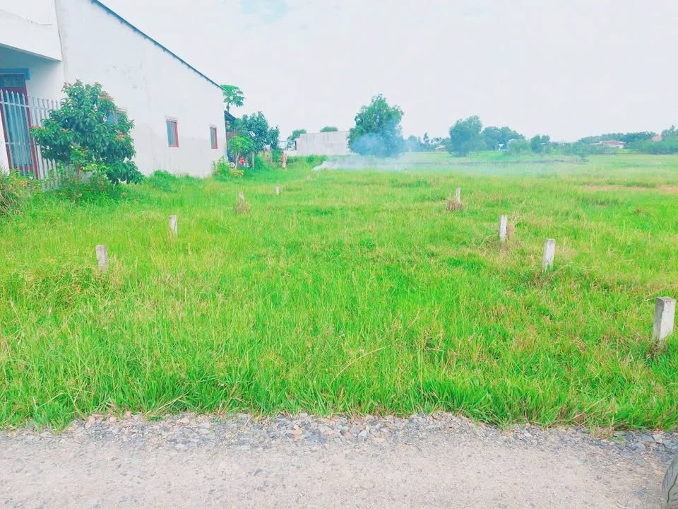 Đất thổ cư Mỹ Hạnh Nam, Đức Hòa 215m² giá 1.2 tỷ - Đầu tư sinh lời tuyệt vời!