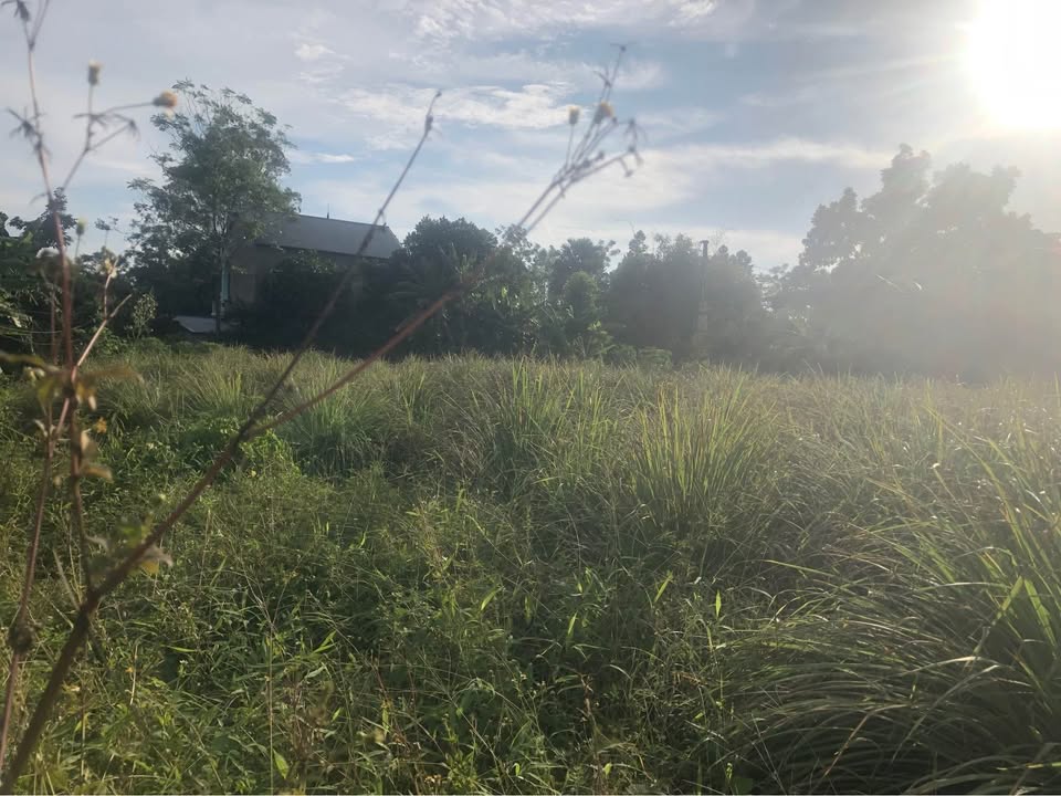 Đất thổ cư 476m² tại Văn Lung, Thị xã Phú Thọ - Giá chỉ 1.4 tỷ!