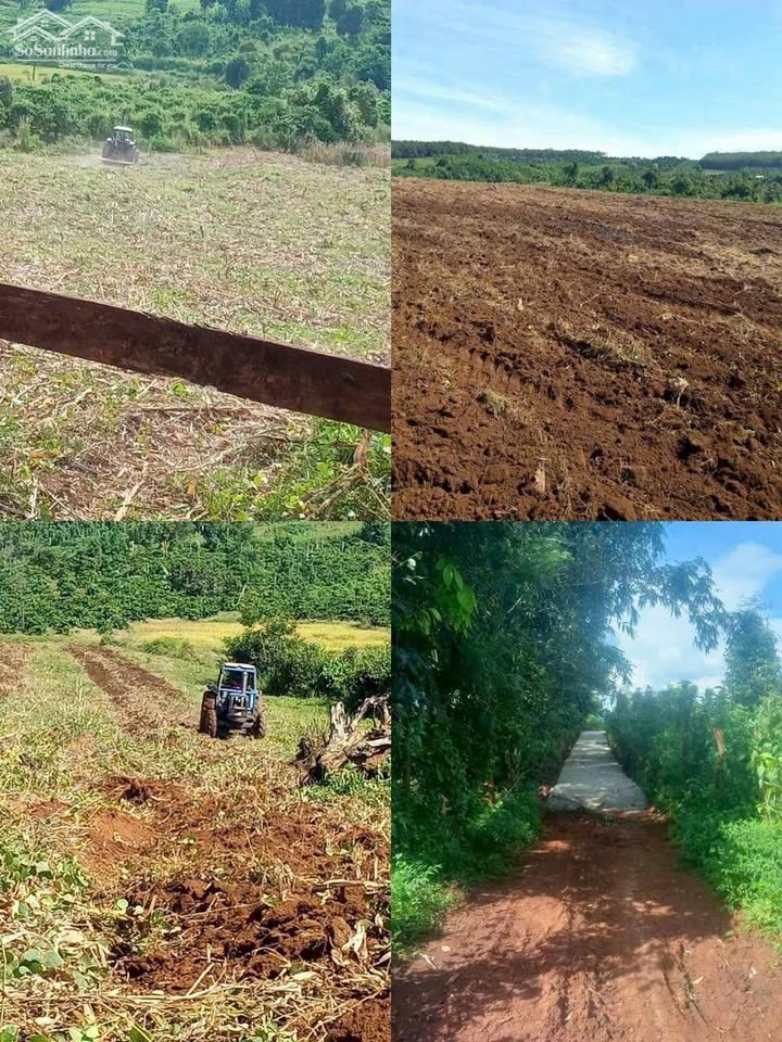 Đất nền Làng Vel, xã Ia Ko, Chư Sê, Gia Lai 11ha - Cơ hội đầu tư tuyệt vời!