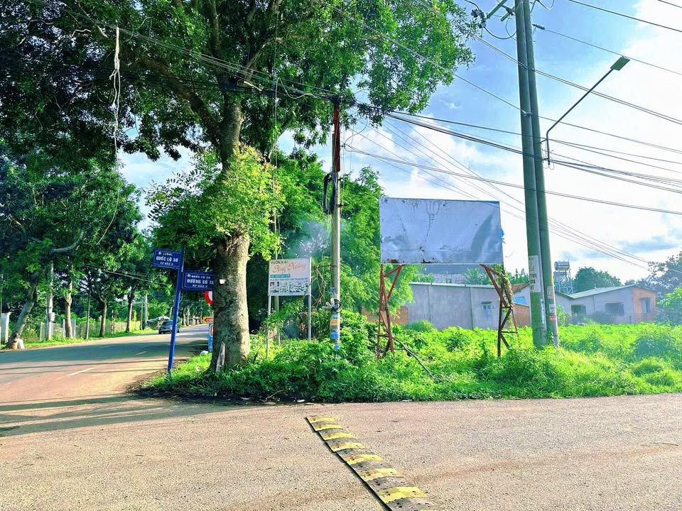 Lô đất 184m² Hòa Long, Bà Rịa - Giá rẻ bằng nửa thị trường - Bán gấp!