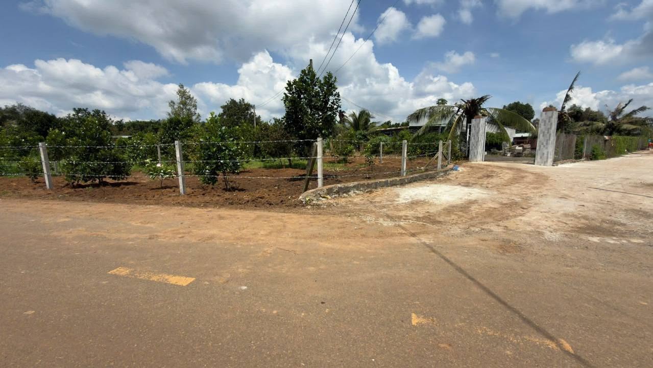 Đất thổ cư 350m² Long Tân - Gần chợ, giá chỉ 1.5 tỷ!