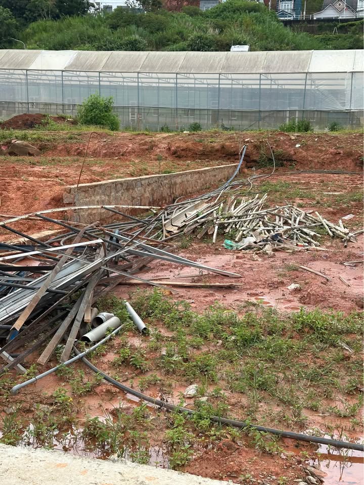 Đất nền Hàn Mạc Tử, Đà Lạt 100m² giá 1.2 tỷ - Cơ hội đầu tư hấp dẫn!