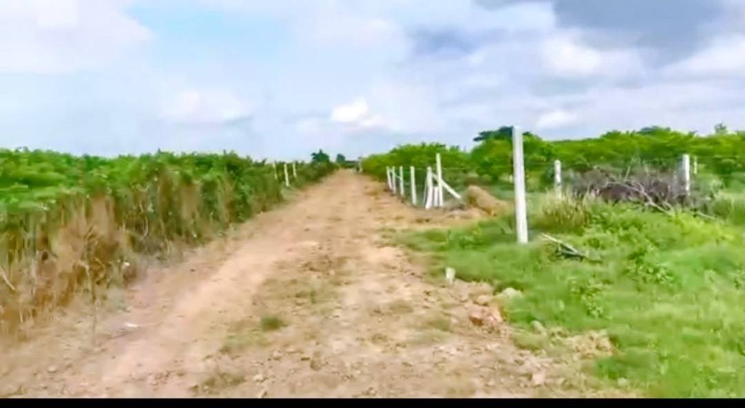 Đất thổ cư Thạnh Lợi, Bình Minh 150m² chỉ 300 triệu - Cơ hội hiếm có!