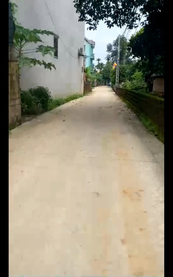 Đất nền gần Chợ Hòa Lạc 181m² giá 5 tỷ - Đầu tư sinh lời hấp dẫn!