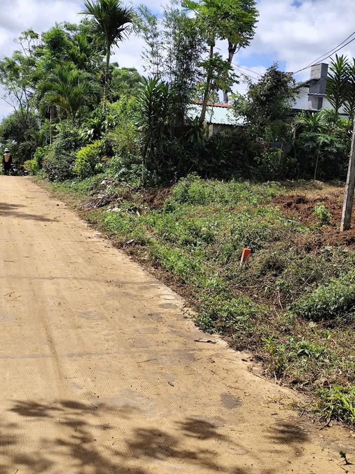 Đất hẻm Lý Chính Thắng, An Phú, Pleiku 175m² - Giá chỉ 400 triệu VND!