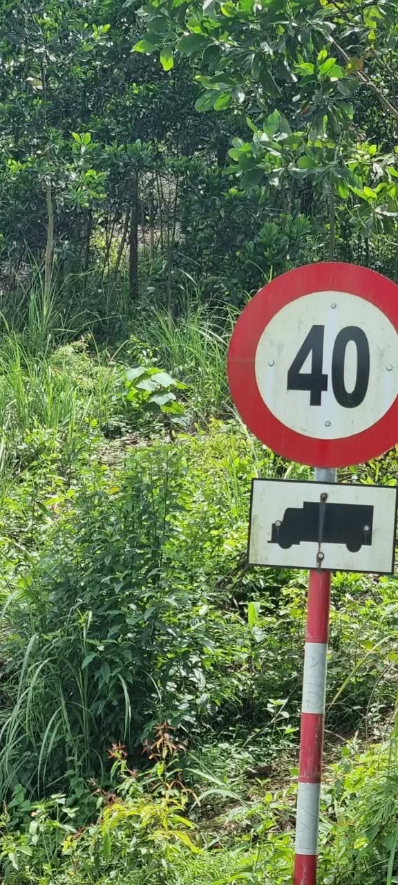 Đất mặt tiền ĐT 602 Hòa Ninh 5460m² giá 4.5 tỷ - Cơ hội đầu tư không thể bỏ lỡ!