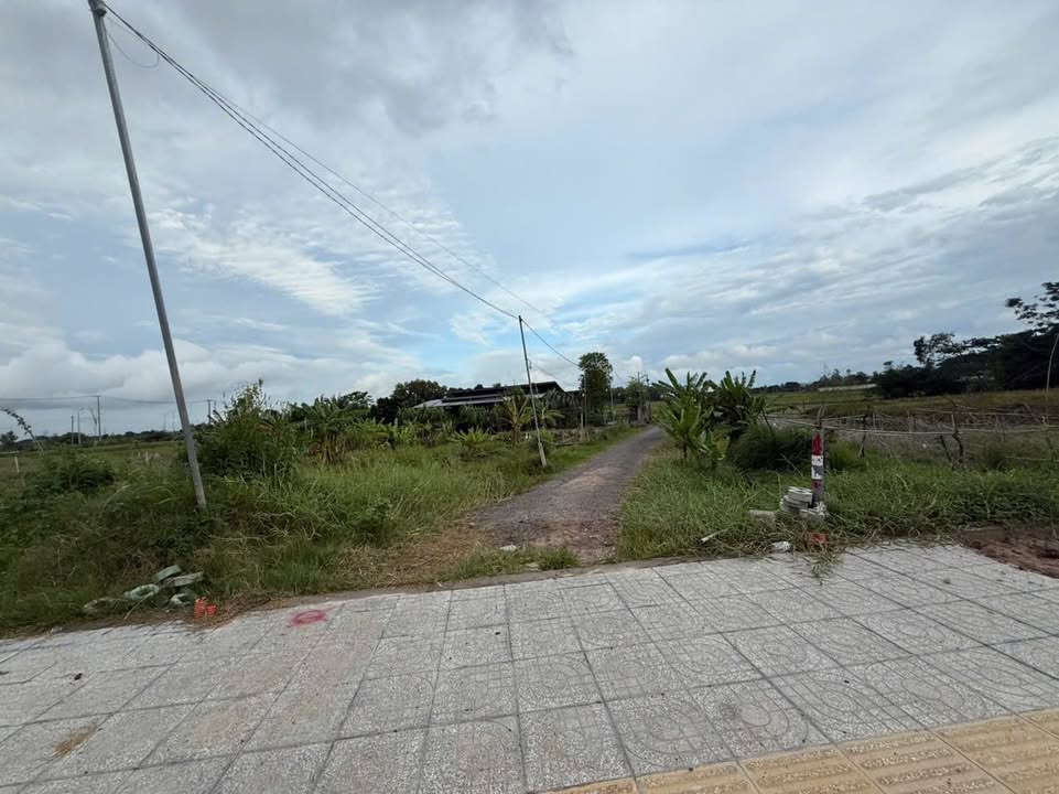 Đất nền Tân Hưng, TP Bà Rịa 3.500m² giá 5.26 tỷ - Cơ hội đầu tư sinh lời cao!