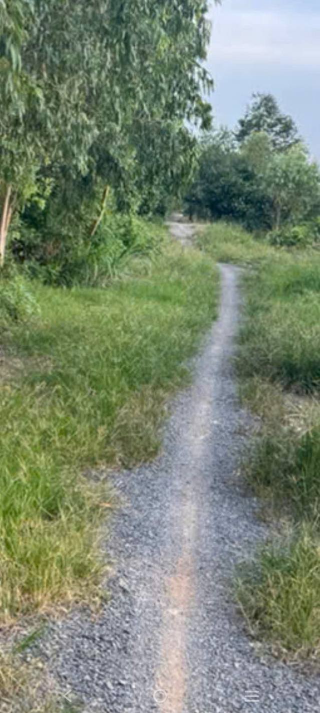 Đất nền 23 công lúa Mỹ Quý, Tháp Mười - Giá chỉ 180 triệu, mặt tiền 40m!