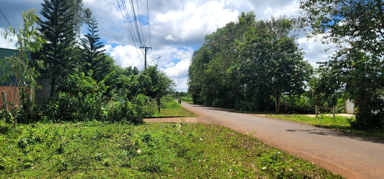 Đất mặt tiền Nguyễn Bình, Phường Hội Phú, 730m² giá từ 1.9 tỷ - Cơ hội đầu tư hấp dẫn!