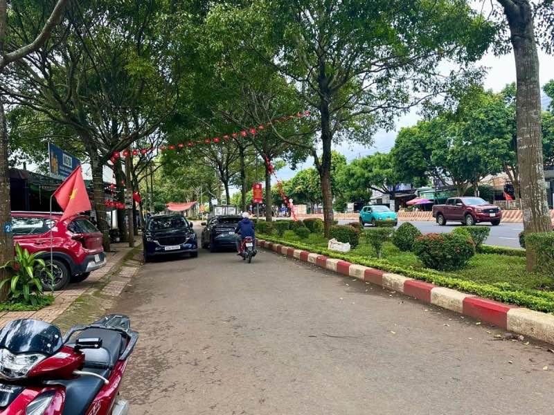 Đất mặt tiền Phạm Văn Đồng, Tân Lập 115m² giá 4.25 tỷ - Đầu tư sinh lời ngay!