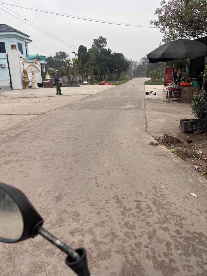 Đất nền Phong Châu 100m² giá từ 900 triệu - Đầu tư sinh lời nhanh chóng!