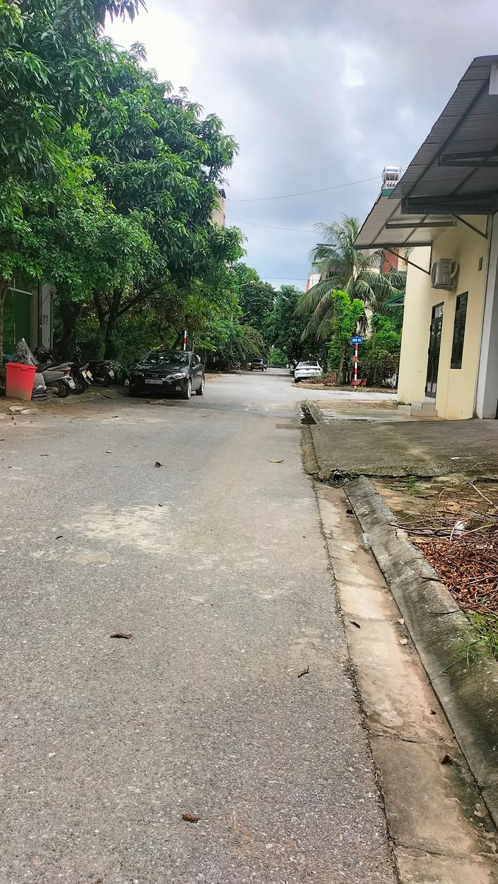 Đất TĐC Trâu Quỳ 40m² giá chỉ 8 triệu - Cơ hội đầu tư hấp dẫn!