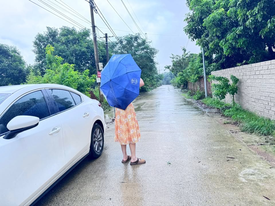 Đất thổ cư 1329m² tại Cổ Đông - Cơ hội đầu tư hấp dẫn!