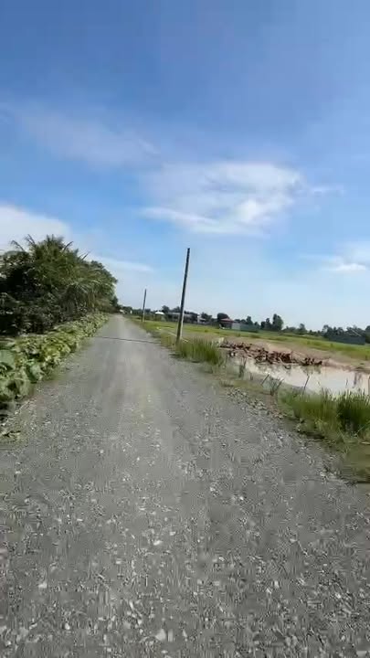 Đất nền dự án Tân Trạch, Cần Đước 150m² giá 950 triệu - Đầu tư sinh lời hấp dẫn!