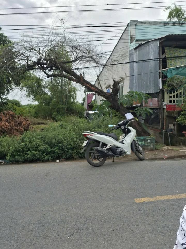 Bán đất thổ cư mặt tiền QL91C Khánh An 76,3m² giá 700 triệu - Vị trí đẹp, đầu tư sinh lời!