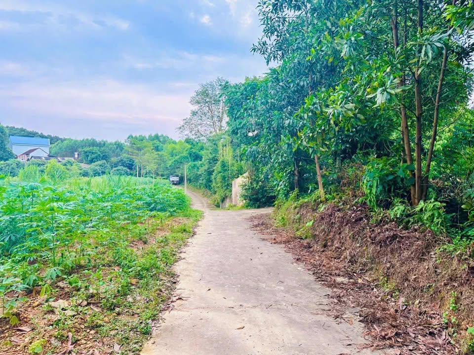 Đất nền đẹp tại Bình Sơn, TP Sông Công 236m² giá chỉ 300 triệu - Cơ hội đầu tư không thể bỏ qua!