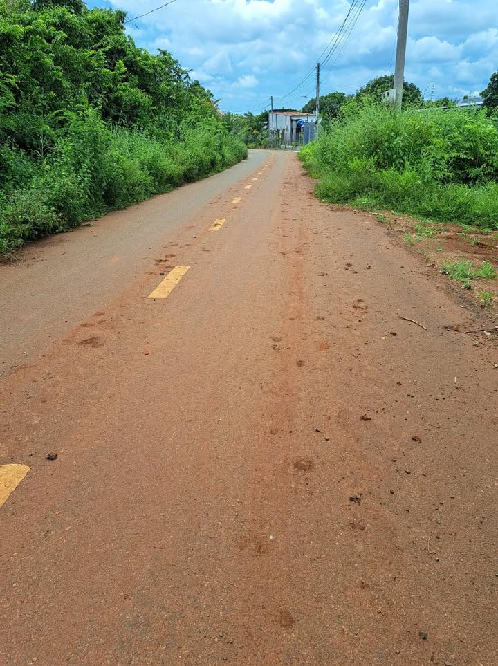 Đất Long Tân Đường Nhựa 148m² giá 800 triệu - Vị trí trung tâm sôi động!