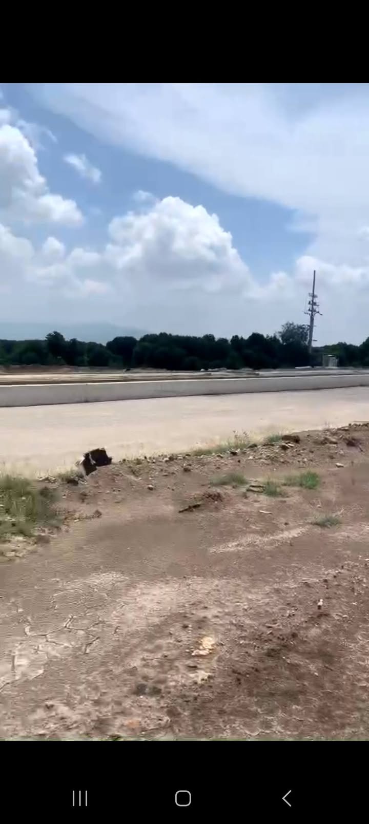 Đất farm 35.000m² Phước Hòa, TP. Phú Mỹ chỉ 52.5 tỷ - Đầu tư sinh lời ngay!