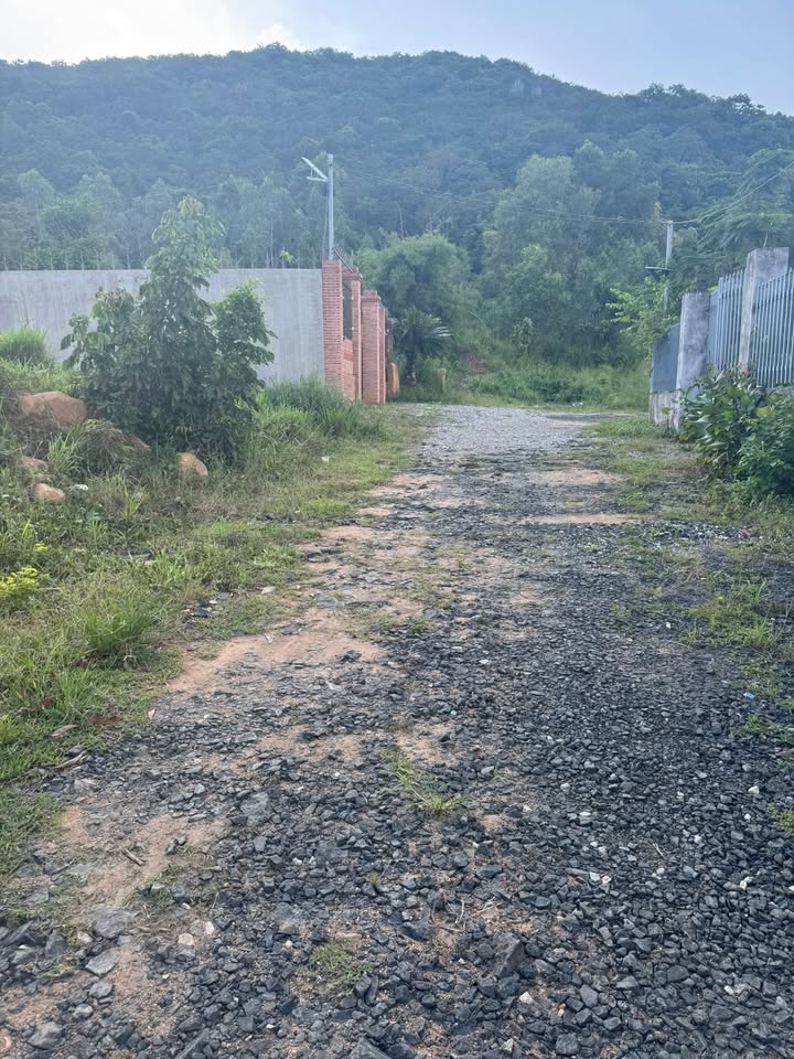 Đất nền 500m² tại Tam An, Long Đất chỉ 1.7 tỷ - Đất cao ráo, thoáng mát!