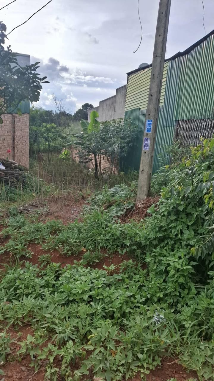 Đất thổ cư Chi Lăng Đà Lạt 240m² giá 950 triệu - Sổ đỏ chính chủ, bán gấp!