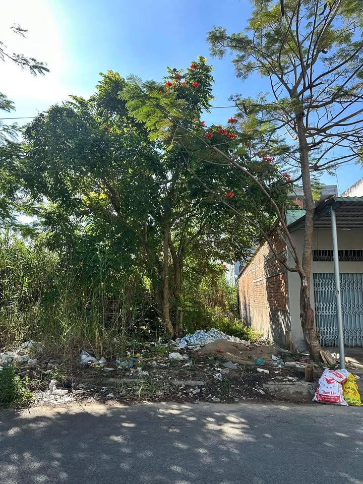 Đất nền đẹp số 5 đường B12, KDC Phú An, Cái Răng, 100m² giá 2.45 tỷ - Cơ hội đầu tư tuyệt vời!