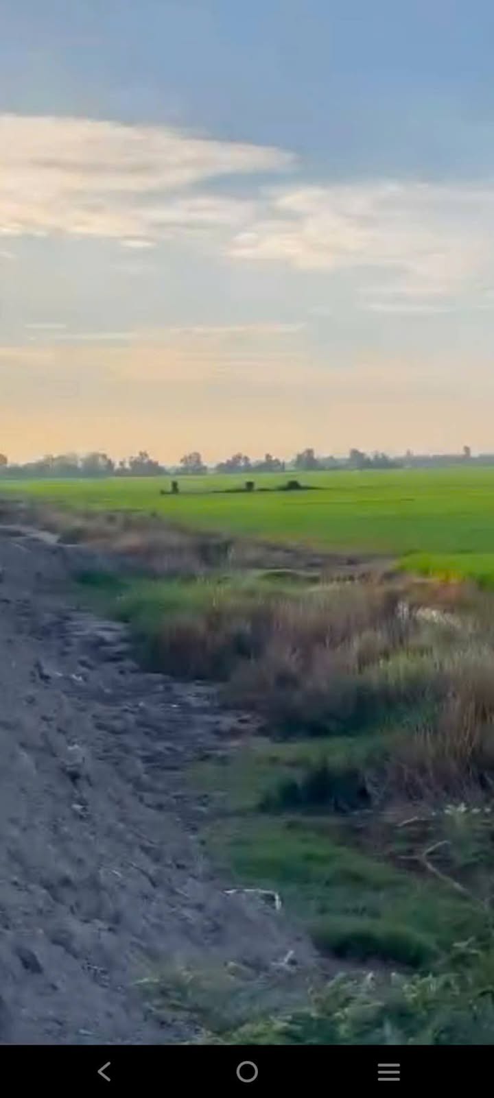 Đất nông nghiệp mặt tiền tỉnh lộ 845, Tháp Mười, 15,000m² - Giá chỉ 200 triệu!