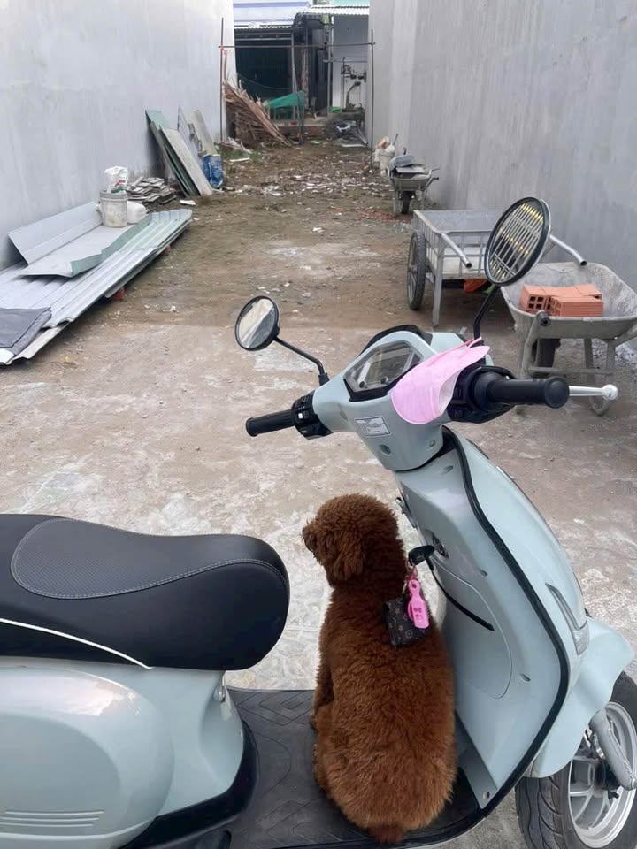 Đất nền ấp 3, Thanh Phú, Bến Lức 123.2m² giá 1.1 tỷ - Sổ hồng riêng chính chủ