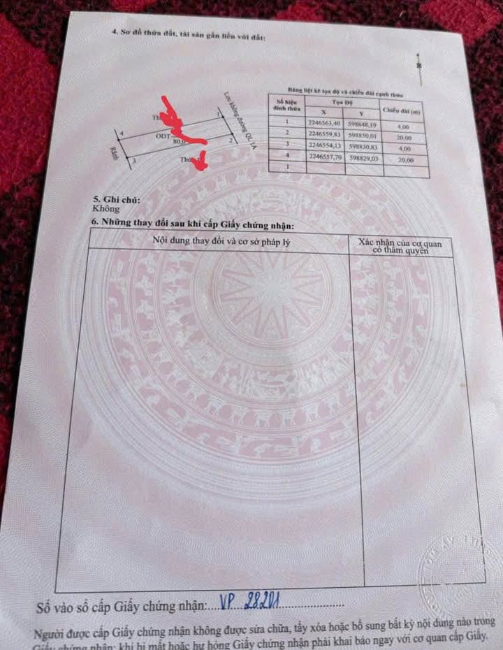 Đất nền Ninh Mỹ, Hoa Lư 100m² - Giá rẻ nhất thị trường, đầu tư sinh lời ngay!