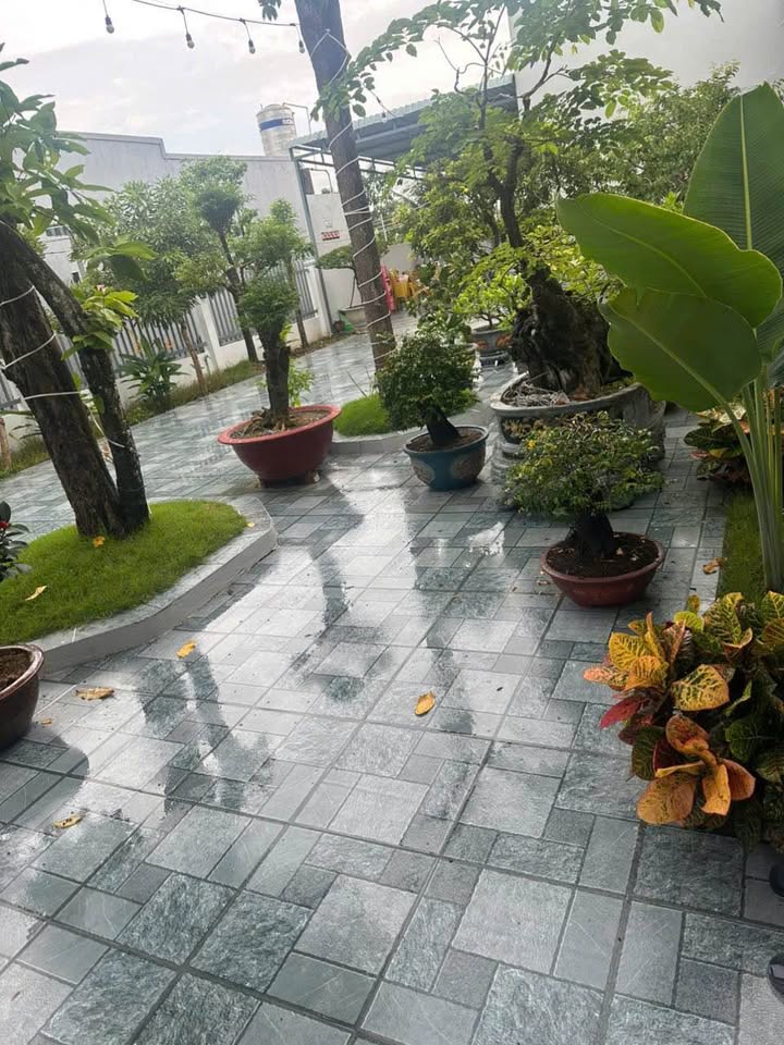 Nhà vườn thôn 1, xã Hàm Liêm, 354m² giá 5.3 tỷ - Nội thất hiện đại, thương lượng chính chủ!