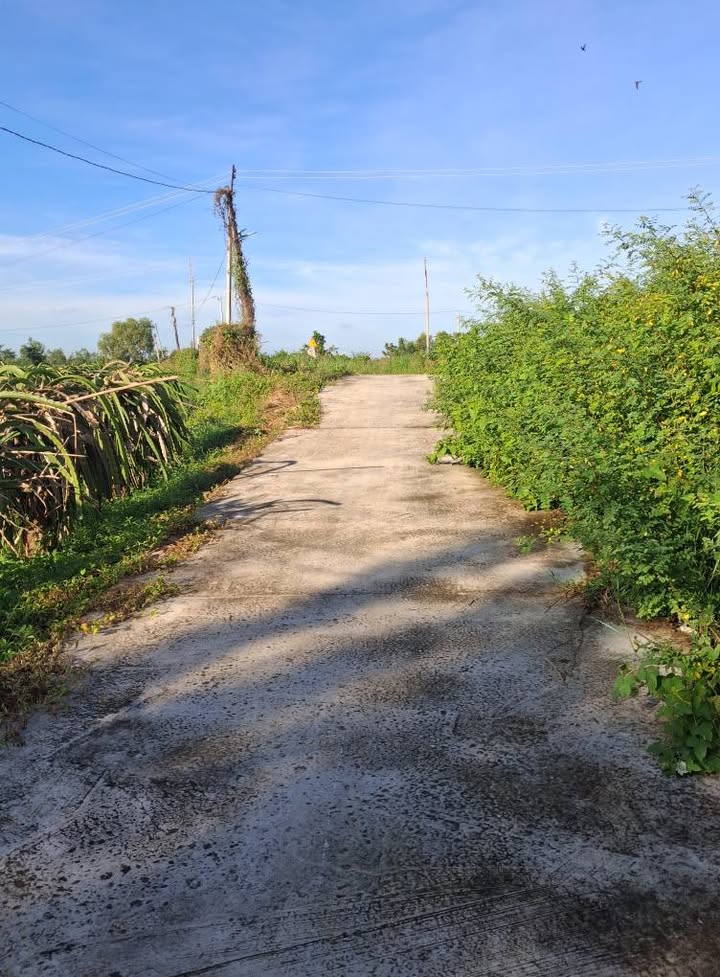 Đất nền 3600m² tại Phường Hàm Liêm, Phan Thiết - Giá chỉ 400 triệu, thương lượng!