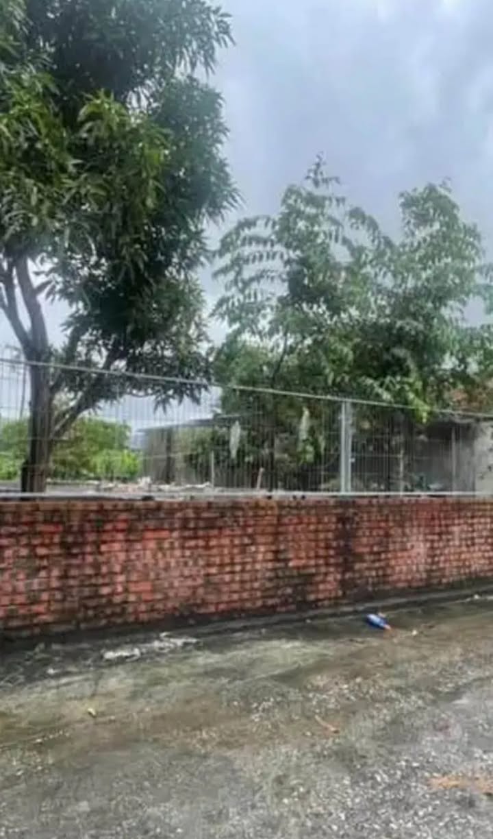 Đất nền Mạo Khê Đông Triều 89.6m² giá chỉ 700 triệu - Đường ô tô thuận lợi!